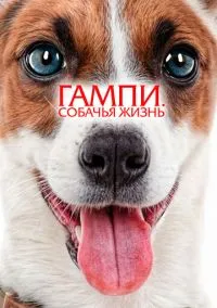 Гампи. Собачья жизнь (2024) Гампи. Собачья жизнь (2024)